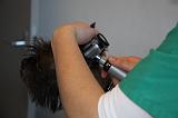 AUSCULTATION 251